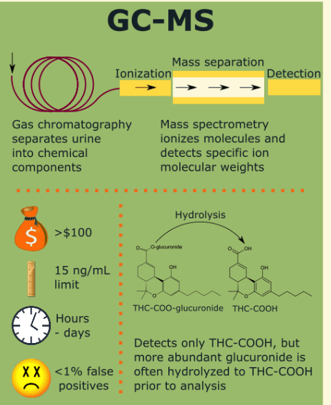 gc-ms-drug-test-guide-coke-clear