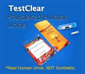 Synthetic Urine Kit