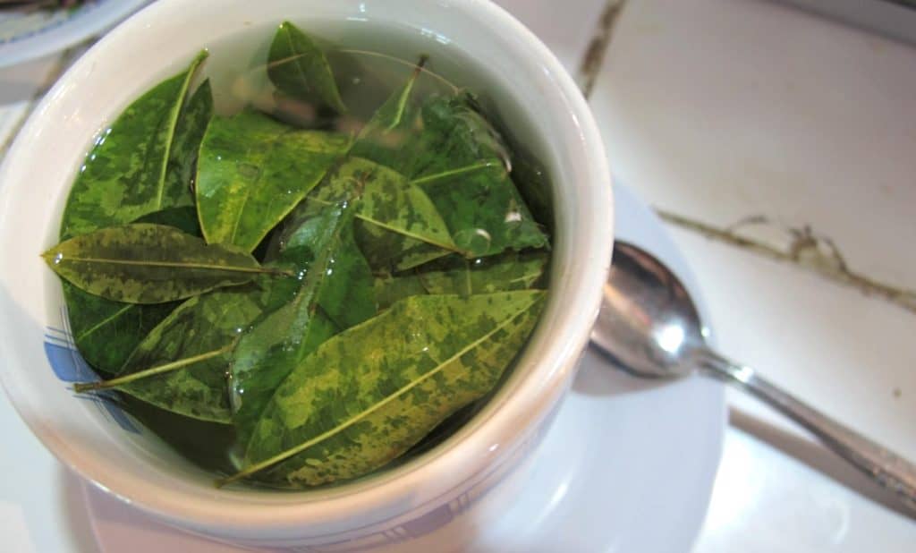 Coca Leaf Tea Positive Screening